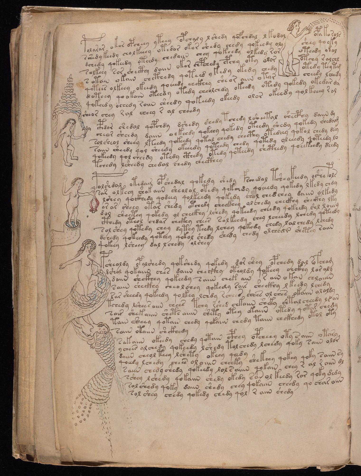 Voynich Manuscript folio f76v — Beinecke MS 408